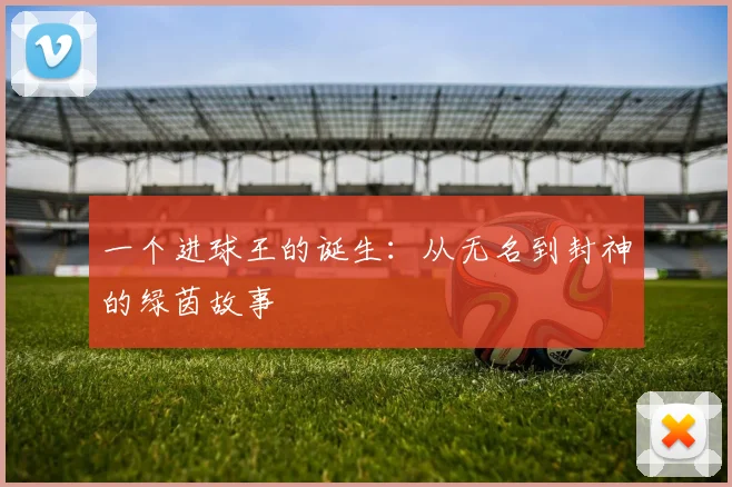 一个进球王的诞生：从无名到封神的绿茵故事